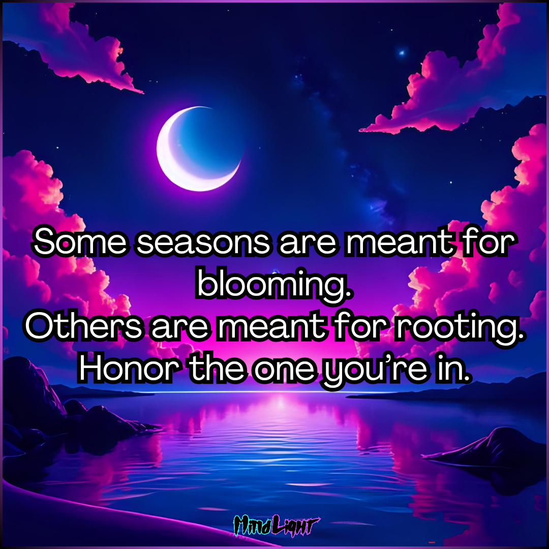 ✨️Daily Inspiration✨️