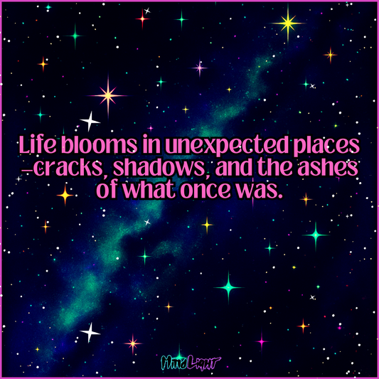✨️Daily Inspiration✨️